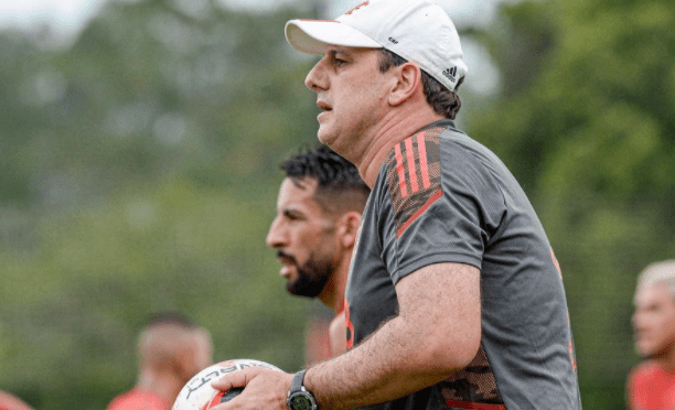 rogerio-ceni-tecnico-do-flamengo