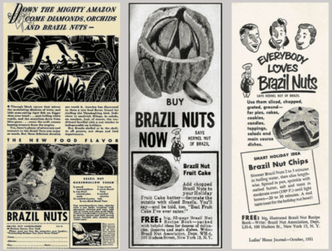 Anúncios da Brazil Nuts Association de castanha-do-pará.