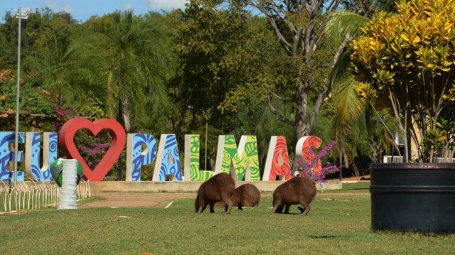 parque-cesamar-palmas-tocantins