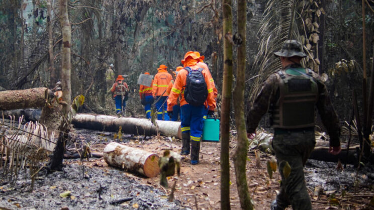 Governo de RO intensifica o combate às queimadas com educação ambiental e fiscalizações Governo de RO intensifica o combate às queimadas com educação ambiental e fiscalizações