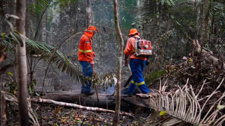 Governo de RO e Prefeitura de Porto Velho firmam cooperação para fortalecer combate às queimadas Governo de RO e Prefeitura de Porto Velho firmam cooperação para fortalecer combate às queimadas