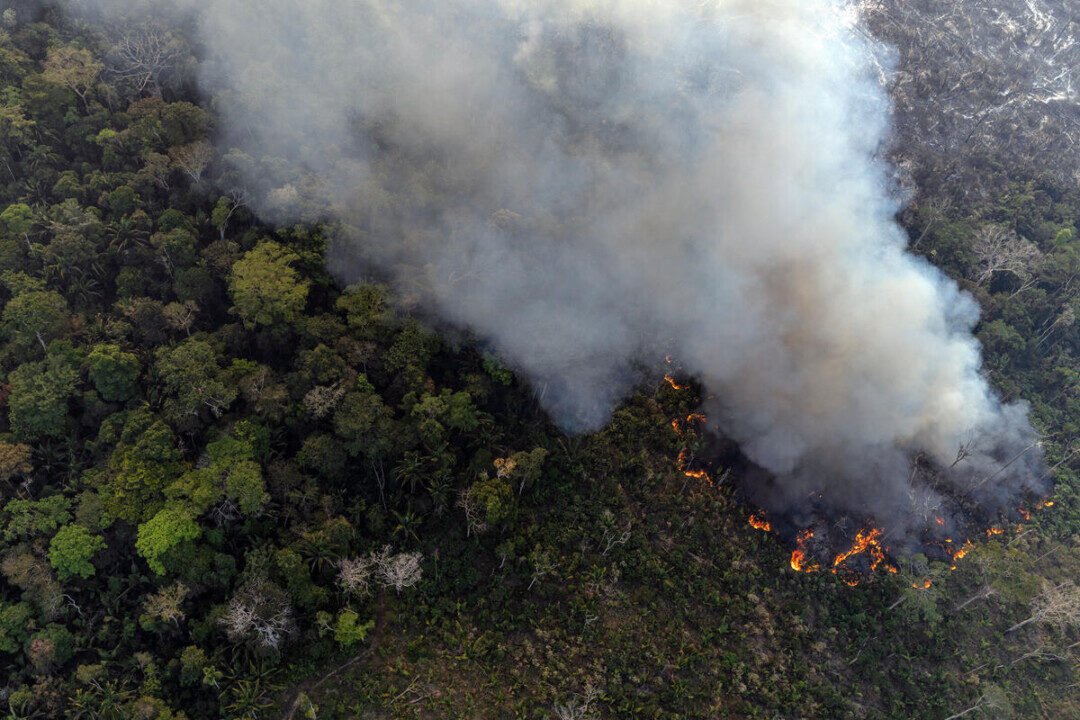 Greenpeace Brazil conducted an aerial survey in southern Amazonas and northern Rondônia to monitor deforestation and fires in July 2024. With over 10,000 hotspots just this month, the country has set a record for fire activity in nearly twenty years in the Amazon. Forest fires and burns were also reported in Conservation Units and properties financed with rural credit.
O Greenpeace Brasil realizou sobrevoo no sul do Amazonas e no norte de Rondônia para monitorar o desmatamento e queimadas em julho de 2024. Com mais de 10 mil focos somente neste mês, o país tem recorde de fogo para o período em quase vinte anos na Amazônia. Incêndio florestal e queimadas também foram registrados em Unidades de Conservação e propriedades financiadas com crédito rural.