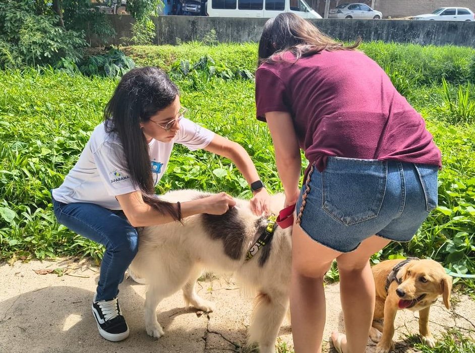 vacinacao animais jipa