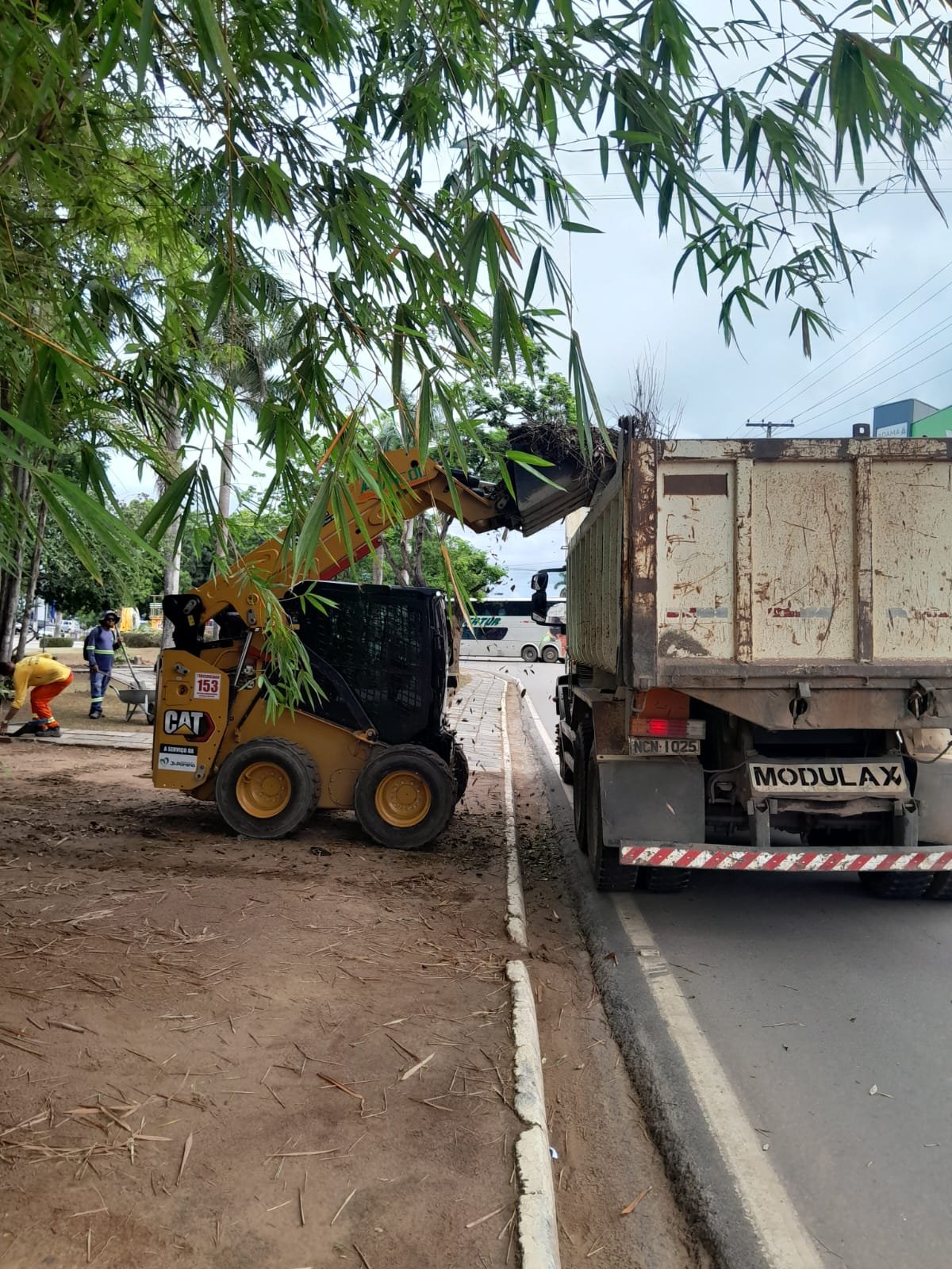 prefeitura-de-ji-parana-intensifica-limpeza-dos-canteiros-da-avenida-marechal-rondon prefeitura-de-ji-parana-intensifica-limpeza-dos-canteiros-da-avenida-marechal-rondon