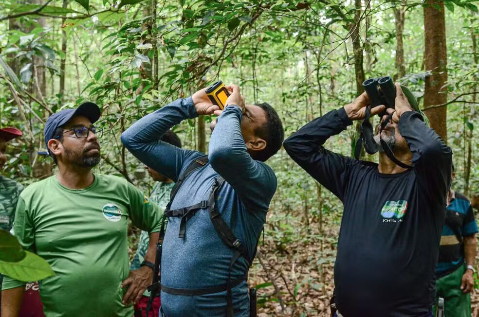 Expedição coleta plantas arbóreas na Reserva do Rio Iratapuru, em Laranjal do Jari, no Amapá. Foto: Israel Cardoso/GEA
