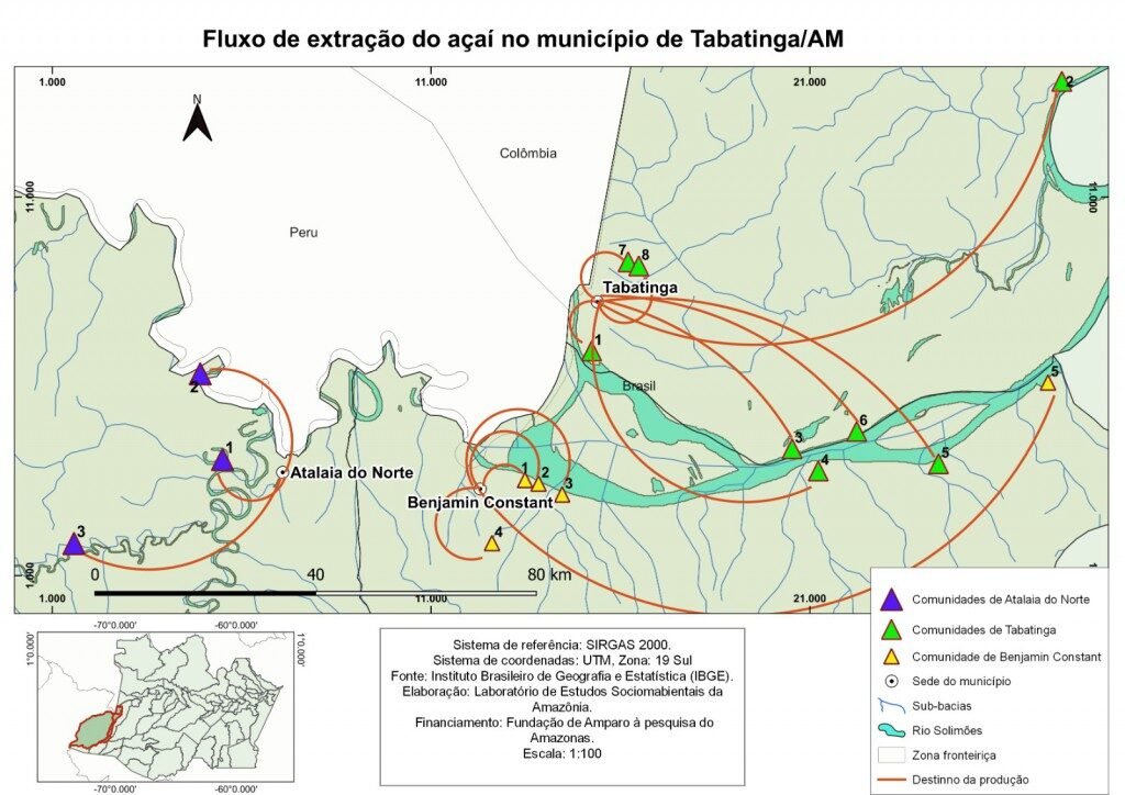 Pesquisa identifica circuitos de extração e comercialização do açaí e do mapati na Tríplice Fronteira