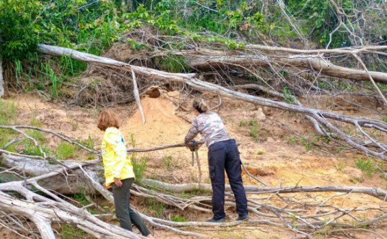 Naturatins Ariranhas cantao monitoramento Foto Naturatins