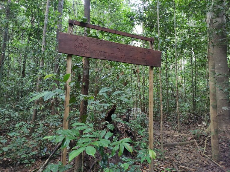 Área de estudo Esecaflor