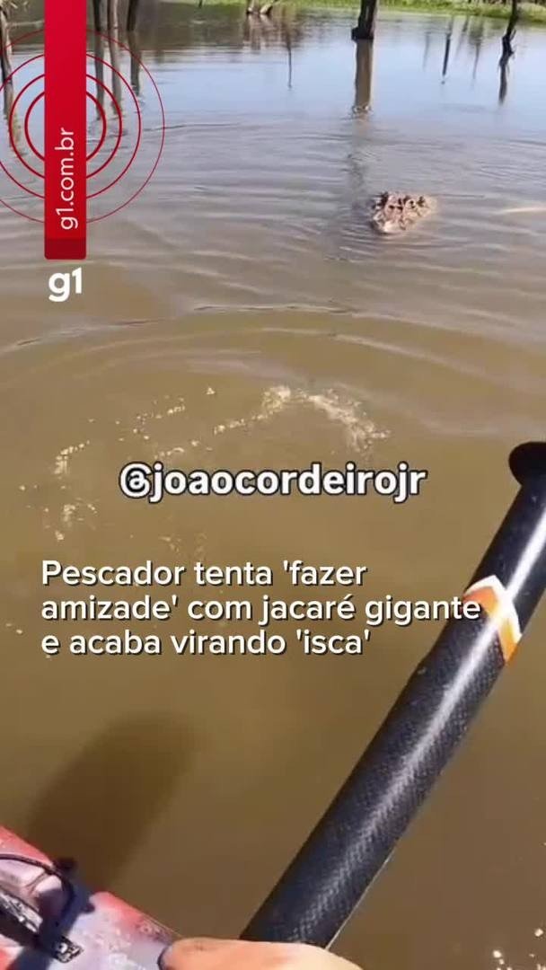 Os vídeos mais vistos em Rondônia em 2025