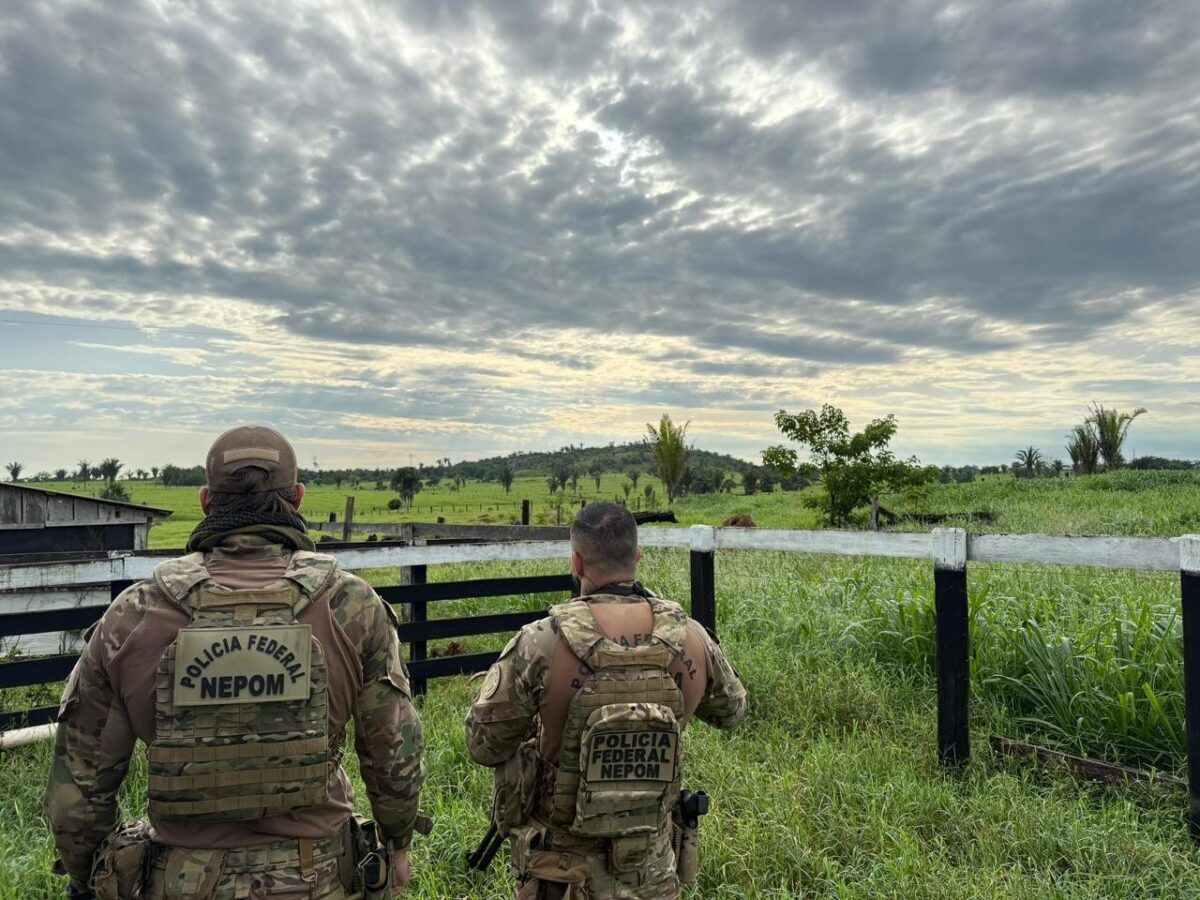 PF investiga ataque a indígenas e grilagem de terras em RO PF investiga ataque a indígenas e grilagem de terras em RO