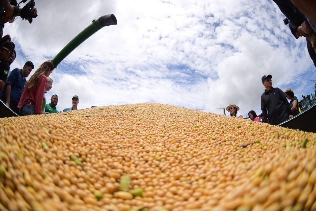 soja, principal produto da safra histórica da agricultura de roraima