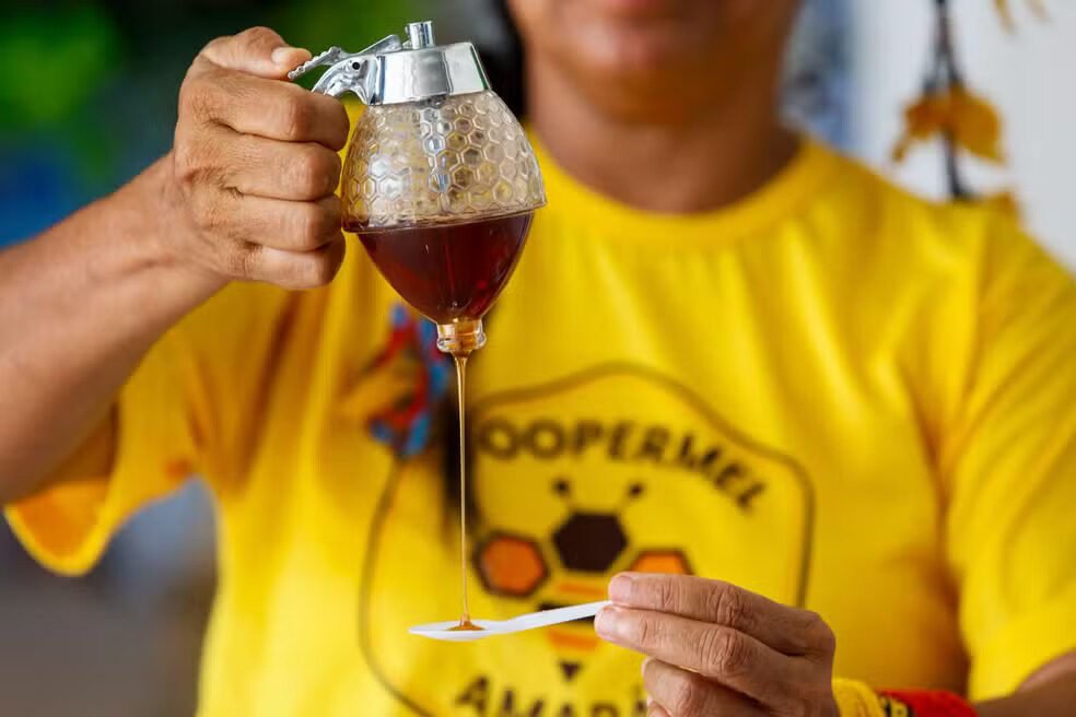 Amapa-integra-Rota-do-Mel-Foto-MIDR Amapa-integra-Rota-do-Mel-Foto-MIDR