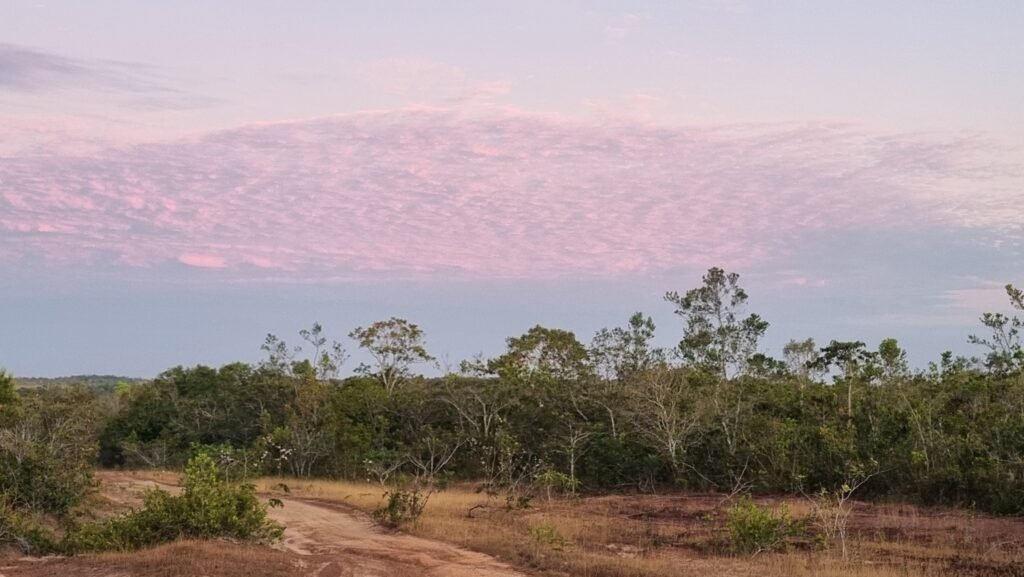 Parque Nacional dos Campos Amazônicos