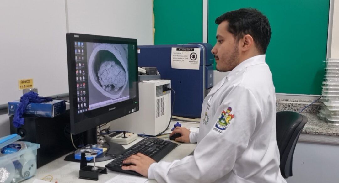 Plantas da Amazônia são usadas para criação de produtos naturais e cosméticos no Amapá