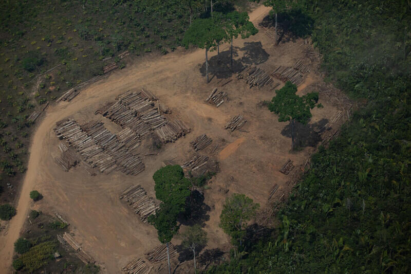 fotografia colorida mostra campo aberto no meio da floresta com toras de madeira empilhadas provenientes de extração ilegal na Amazônia