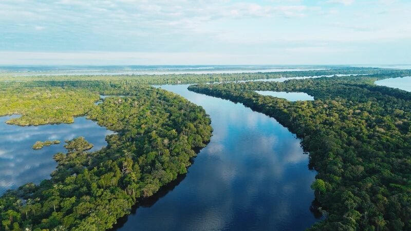 A imensidão da maior floresta tropical do mundo vista de cima, Amazônia, cortada por seus rios sinuosos. Foto: Marcelo Bonifácio