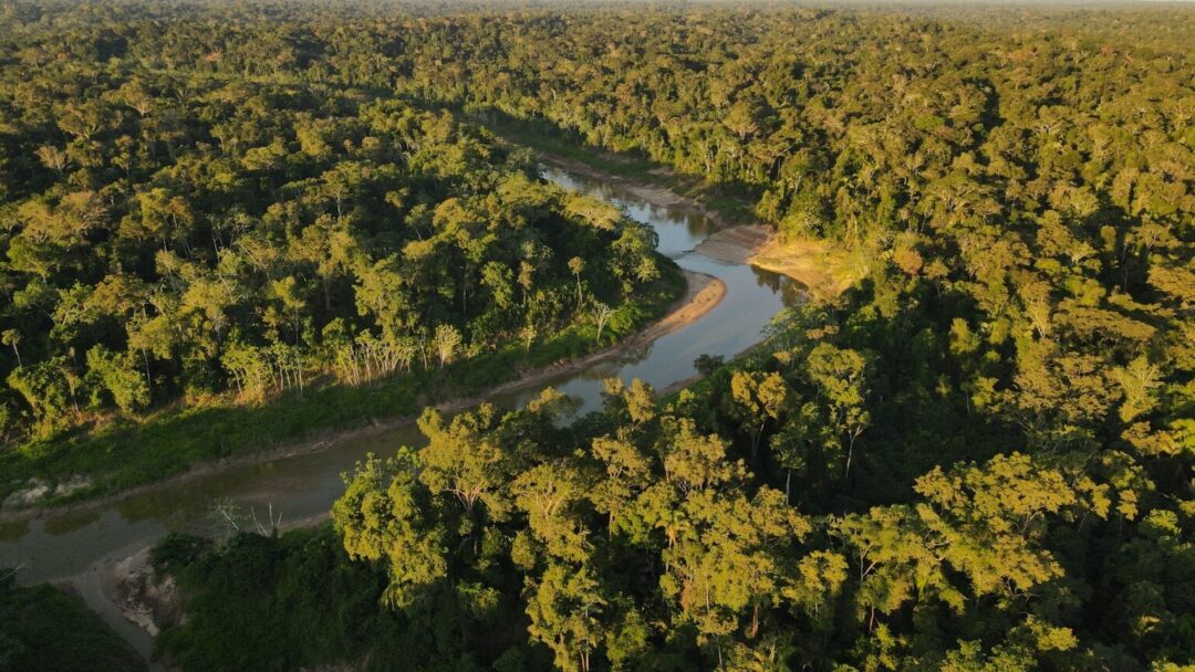 Parque Nacional da Serra do Divisor