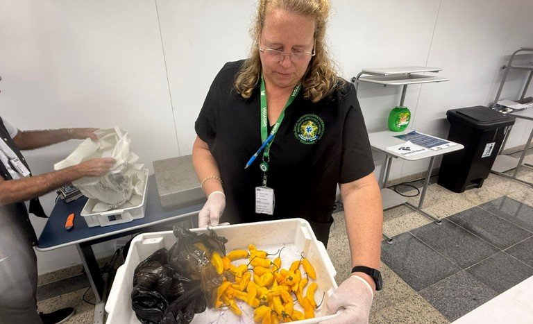 O que você pode (e como) trazer de comida do exterior e o que é proibido? O que você pode (e como) trazer de comida do exterior e o que é proibido?