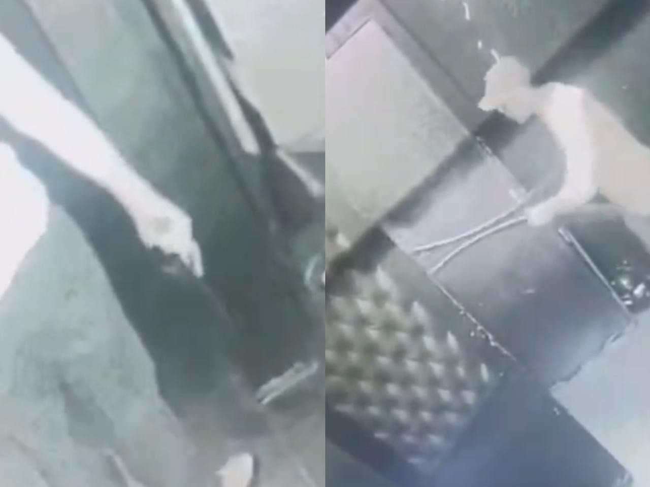 Tenente-coronel da PM é suspeito de agressão com faca em boate Tenente-coronel da PM é suspeito de agressão com faca em boate