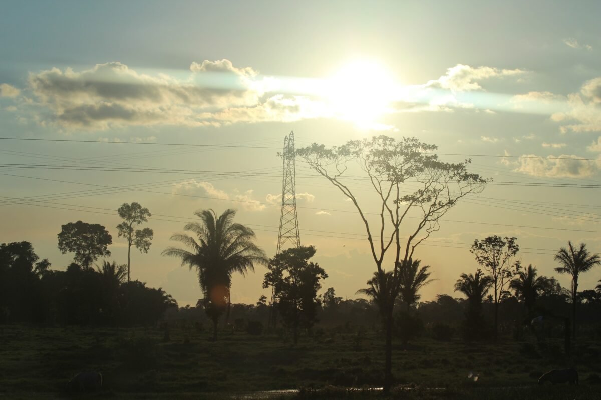 Tempo em Rondônia no Ano Novo: veja a previsão Tempo em Rondônia no Ano Novo: veja a previsão