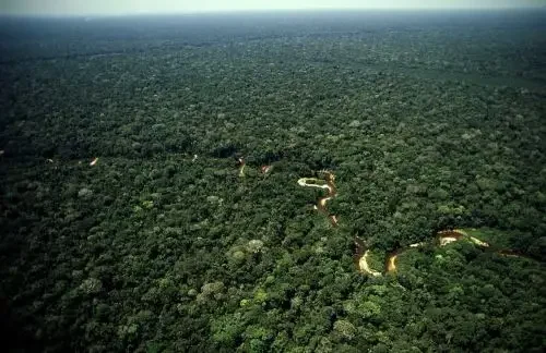 Madre de Dios, a 'Capital da Biodiversidade' do Peru