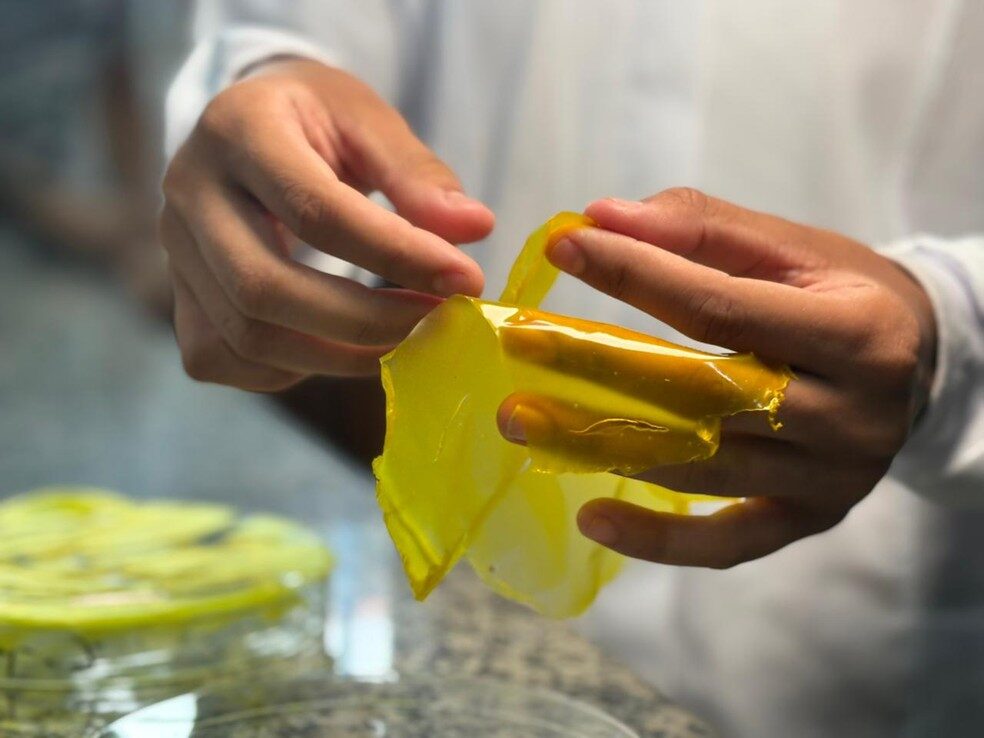 bioplástico de amido de milho