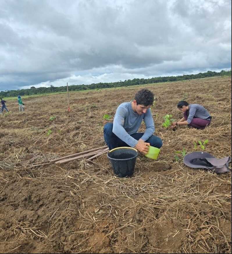 Estudantes do curso de Engenharia Florestal participam dos experimentos de Silvicultura em Rondônia