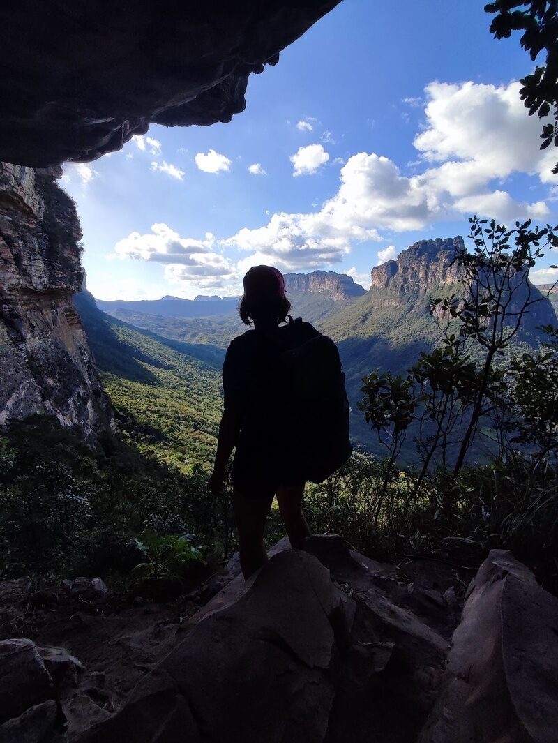 carnaval com meio ambiente precisa de cuidados