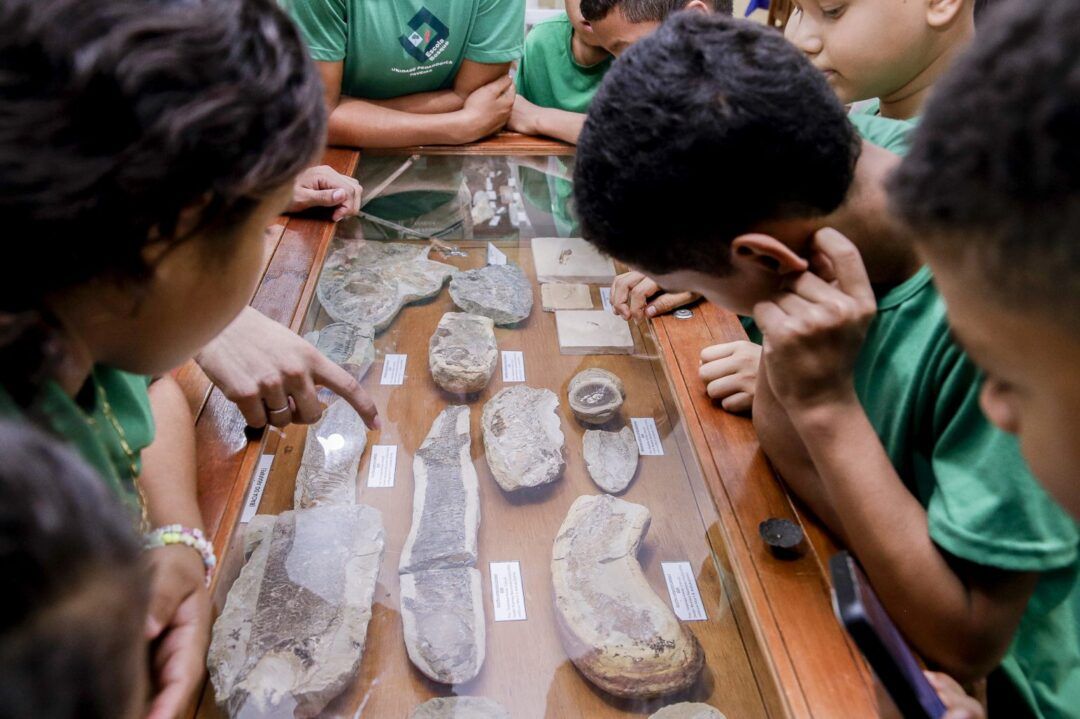 Museu de Geociências da UFPA: acervo conta história geológica da Amazônia