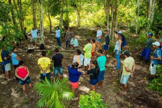 Software amazônico protege ideias: como usar e quem se beneficia