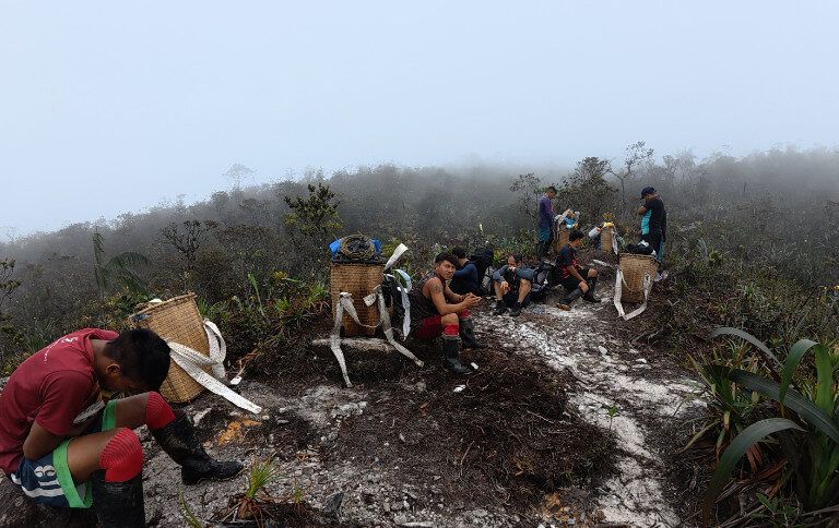 A subida envolve aproximadamente seis a oito dias de trilha pela floresta até alcançar o cume - Foto: Leandro Eiró/ICMBio