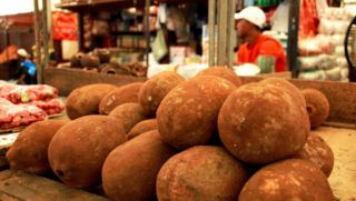 Cupuaçu no BBB 26: onde encontrar a fruta na Amazônia?