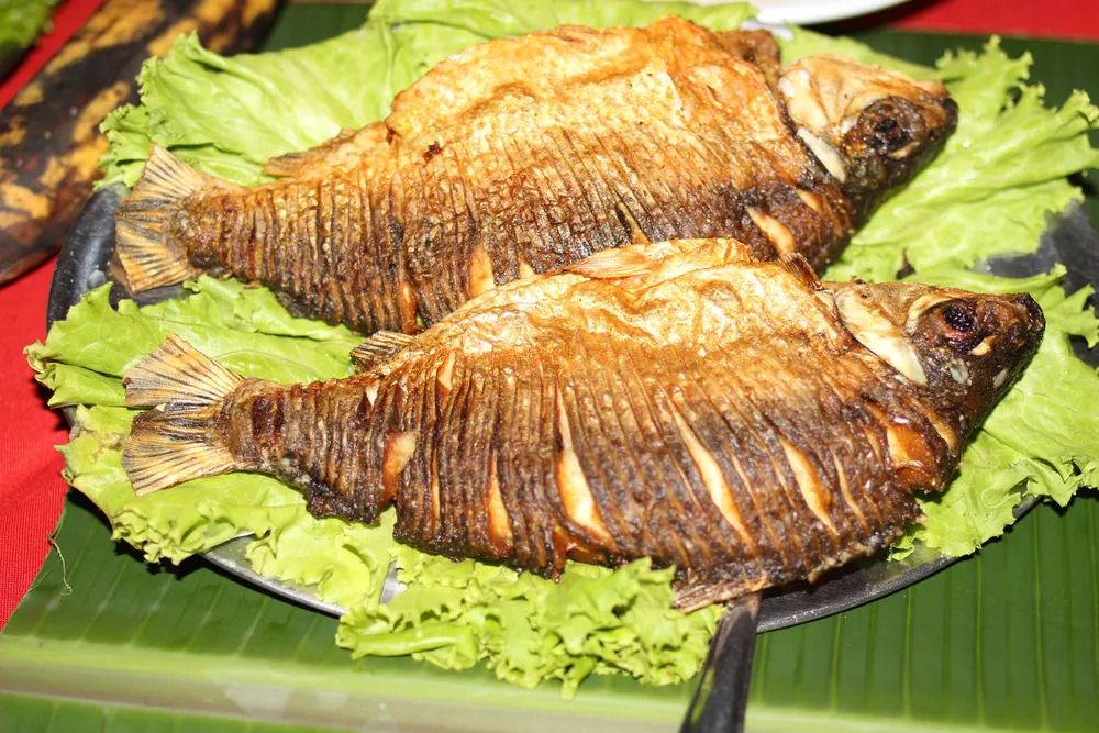 O jaraqui é um dos peixes mais consumidos no Amazonas. 