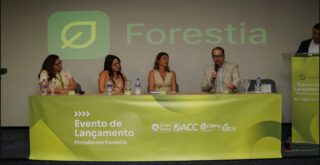 Créditos de carbono na Amazônia: nova plataforma da UFRA e empresas