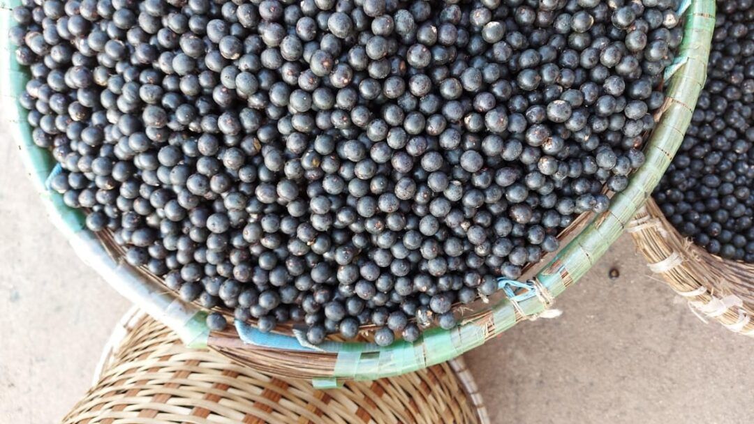 açaí de belém