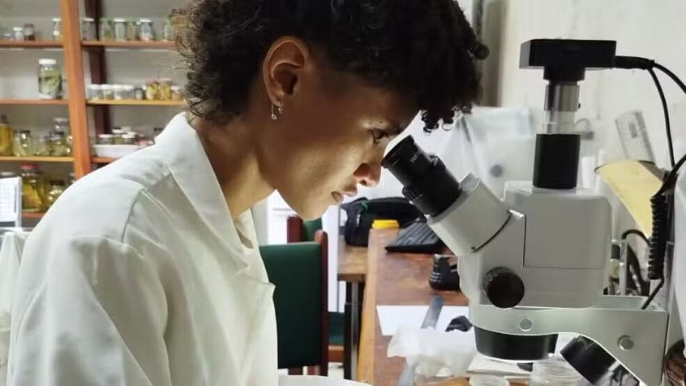 peixes no amapá são objetos de estudo