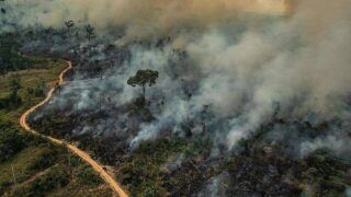Ar poluído na Amazônia: 138 dias de risco após queimadas em 2024