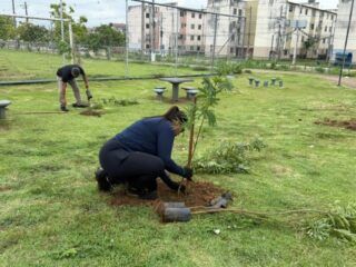 ARBORIZAÇÃO –  Plantio de mudas beneficia comunidade do Morar Melhor