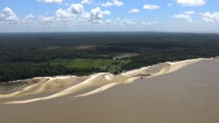 Marajó: Justiça define prazos para regularização de terras quilombolas