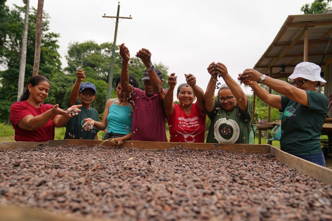 Mulheres mantém tradição da fabricação de chocolate a partir da produção orgânica do cacau em Tefé