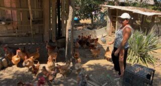 CAMPO – Mulheres ganham cada vez mais espaço na agricultura familiar de Porto Velho