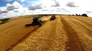 Cargill interrompe exportação de soja para China após mudança em inspeção