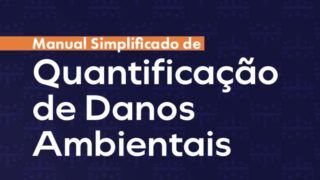 CNJ divulga manual para quantificação de danos ambientais e amplia funcionalidades do SireneJud