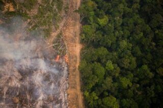 Desmatamento na Amazônia cai para o menor nível em 8 anos