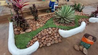 DRENAGEM – Jardins de chuva ajudam a reduzir impactos das chuvas