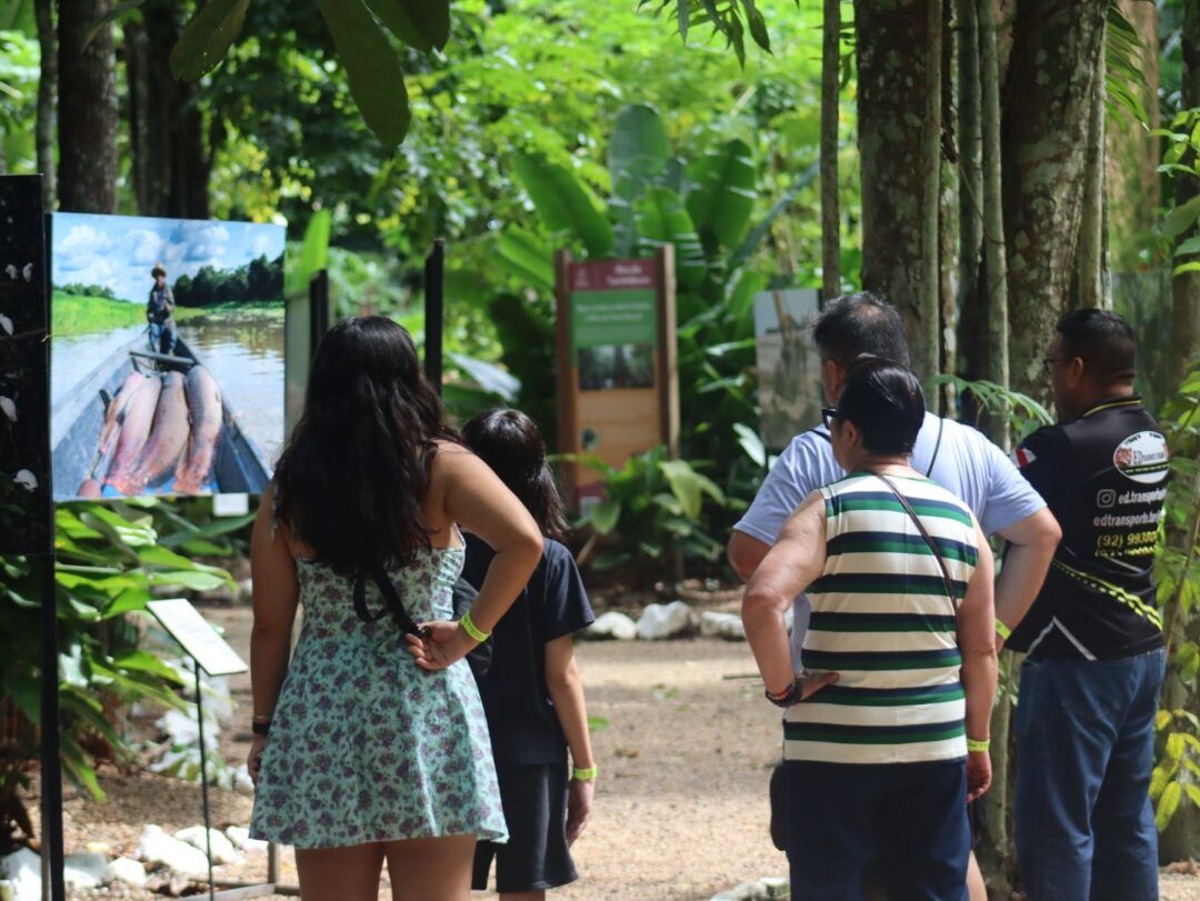 Férias no Bosque 2026. 
