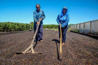 Governo de RO comemora o Dia Mundial da Agricultura e destaca a força do campo no desenvolvimento do estado