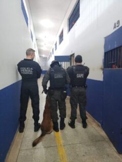 Governo de RO integra 10ª fase da Operação Mute e intensifica ações de segurança nas unidades prisionais