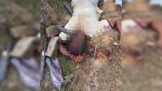 Irmão mata outro com pauladas por disputa de terras