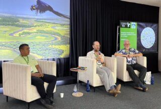 Aves migratórias no Rio Negro: o que o conhecimento indígena revela